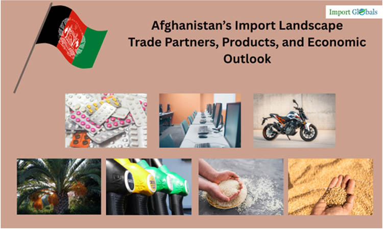 Afghanistan’s Import Landscape: Trade Partners, Products, and Economic Outlook