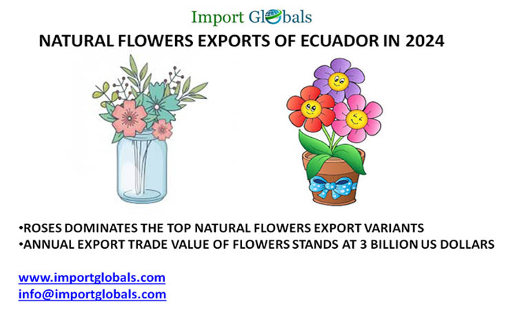 Natural Flowers Exports of Ecuador: Key Insights of the Valuable Marketing Partners