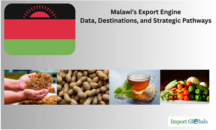 Malawi’s Export Engine: Data, Destinations, and Strategic Pathways