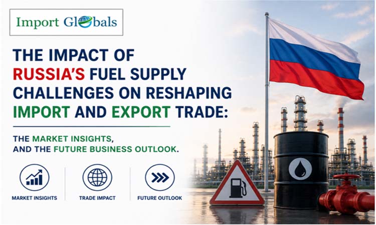 The Impact of Russia's Fuel Supply Challenges on Reshaping Import and Export Trade: The Market Insights, and the Future Business Outlook